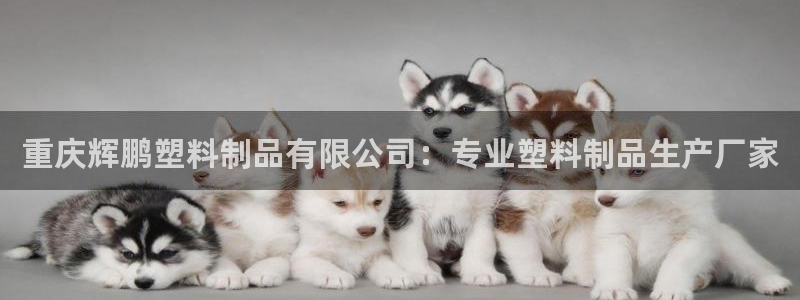 太阳集团城网址娱网